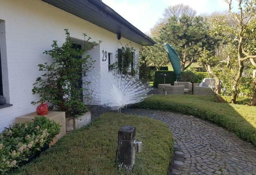 بنسيون Ferienwohnung Kolb