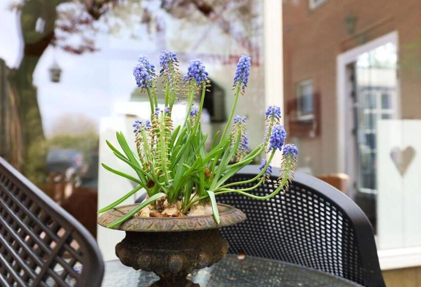 פנסיון Huisje Sasa