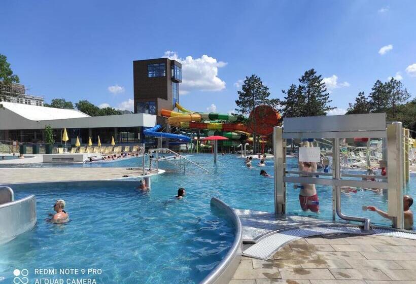 펜션 Penzionhanarobo