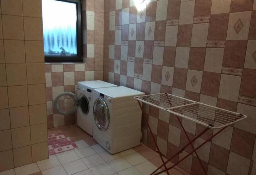 펜션 Penzionhanarobo