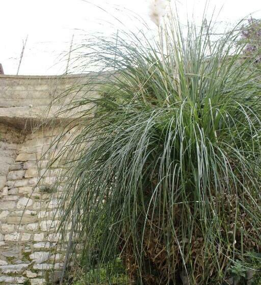 پانسیون Punto Relax