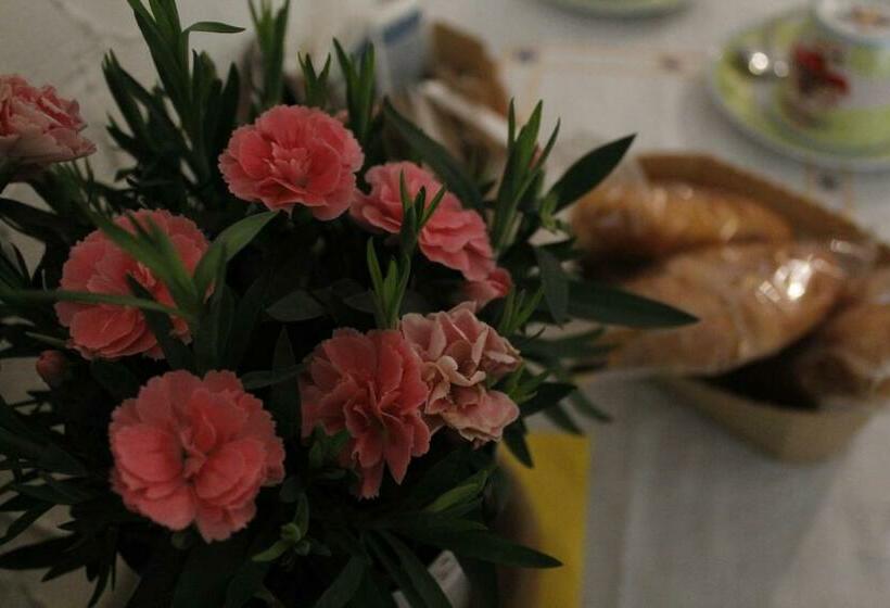 پانسیون Punto Relax