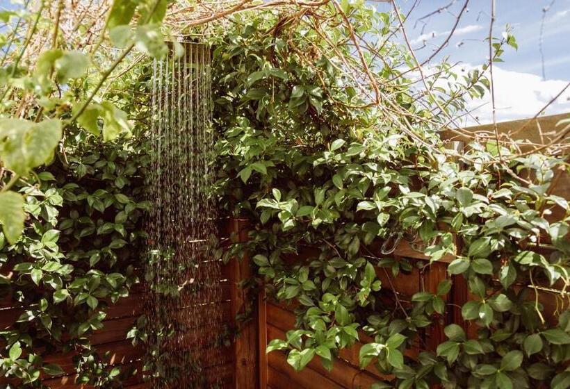 펜션 The Bean Tree