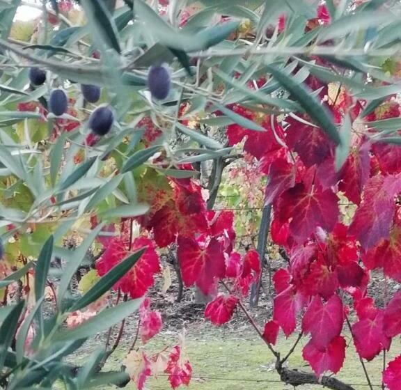 Пансион Hospedaria Vale Do Rodo Residencial