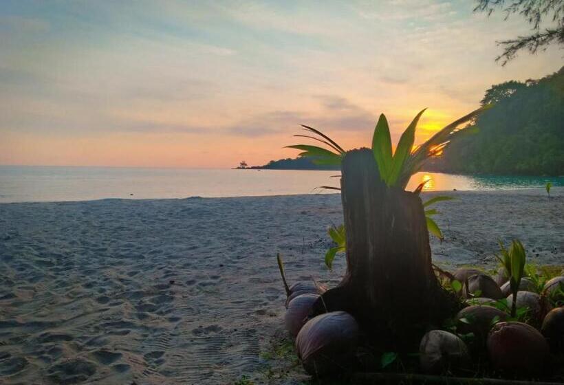 Пансион Walk In Homestay