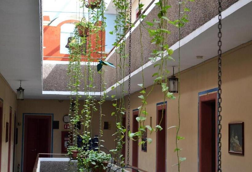 فندق صغير Janeiro