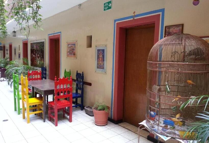 فندق صغير Janeiro