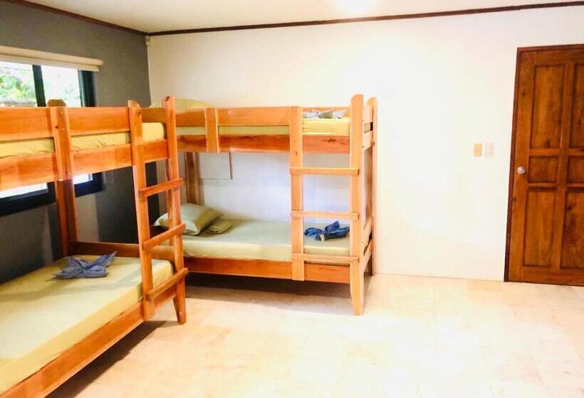 هاستل The Escape San Juan