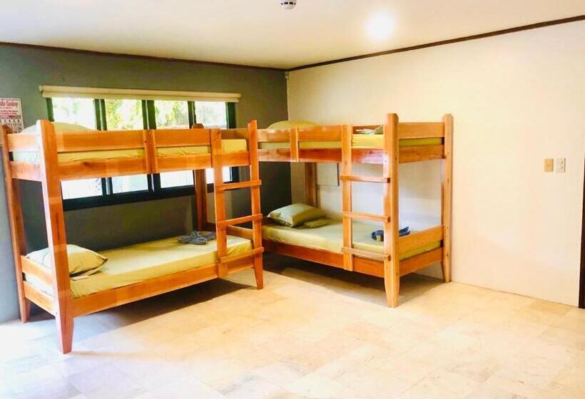 هاستل The Escape San Juan