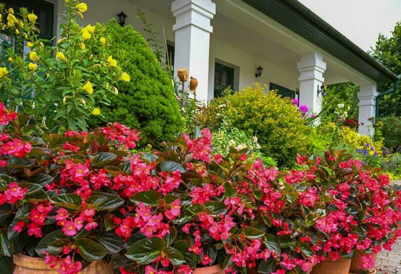 ベッドアンドブレックファースト Falubíró Vendégháza