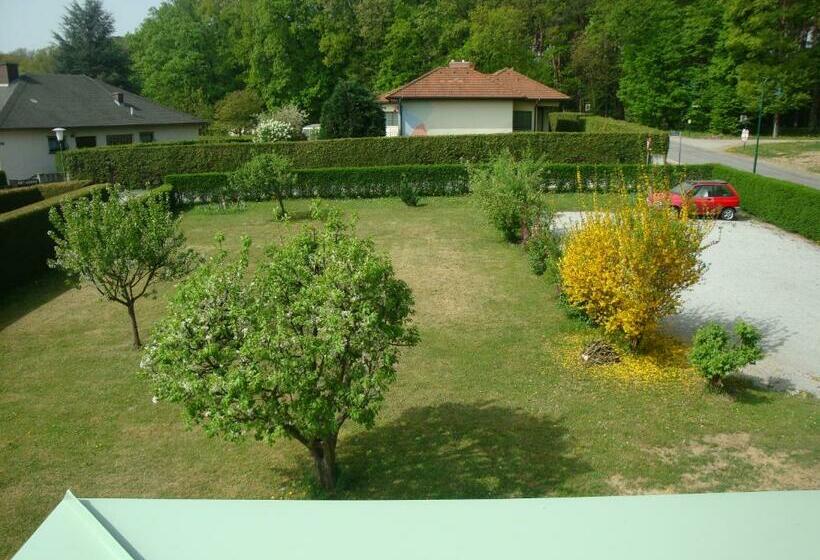 ベッドアンドブレックファースト Haus Camelia