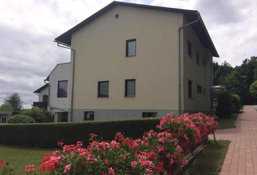 ベッドアンドブレックファースト Haus Camelia