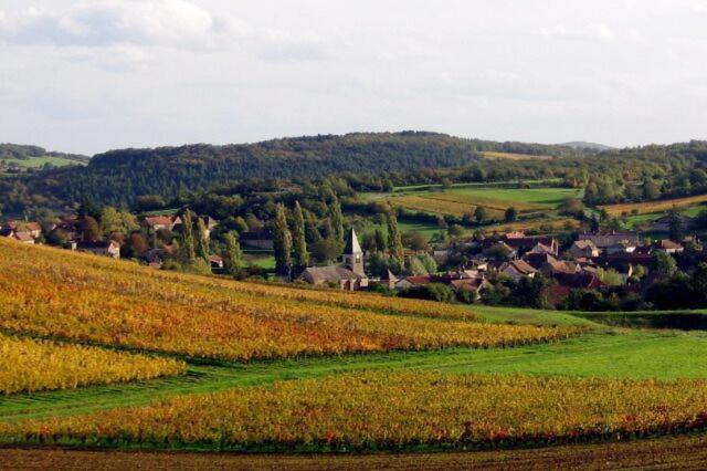 민박 La Chambre Des Buissonnats