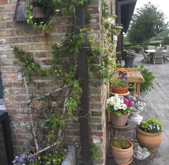 Bed and Breakfast Logies De Meerkoet