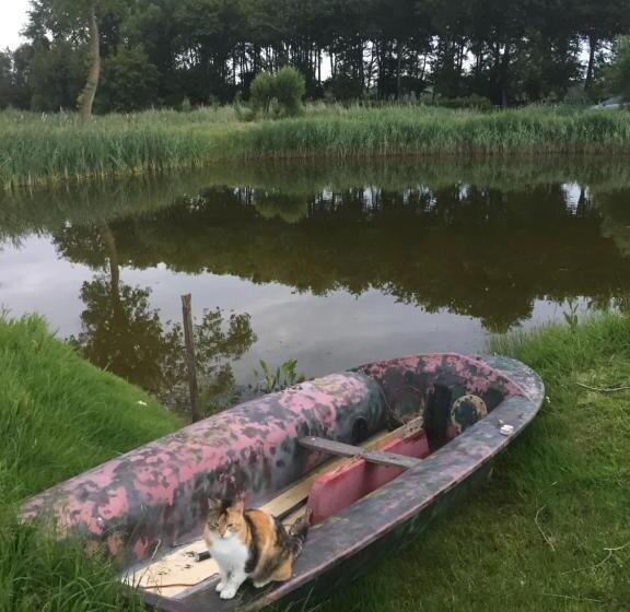 Bed and Breakfast Logies De Meerkoet