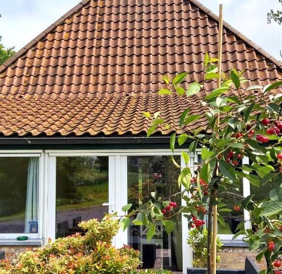 Bed and Breakfast Logies De Meerkoet