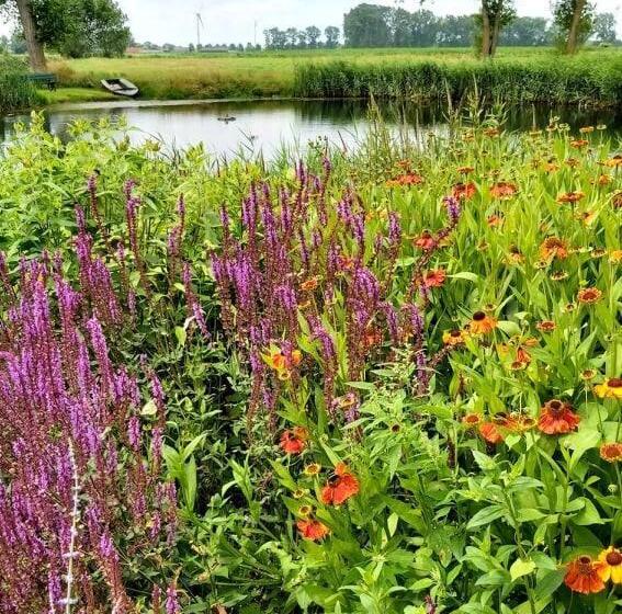 Bed and Breakfast Logies De Meerkoet