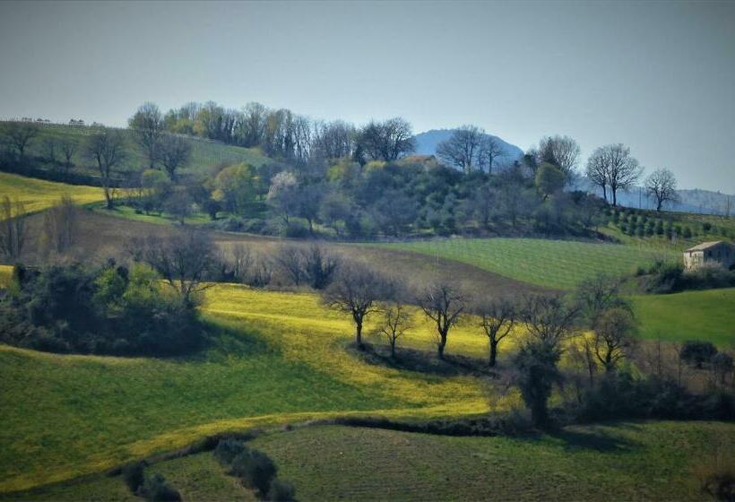 צימר Quelli Del Picchio