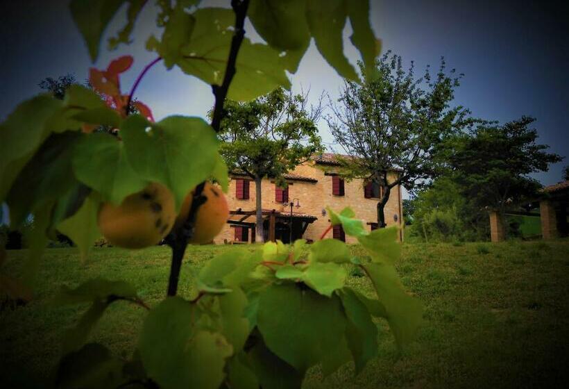 צימר Quelli Del Picchio