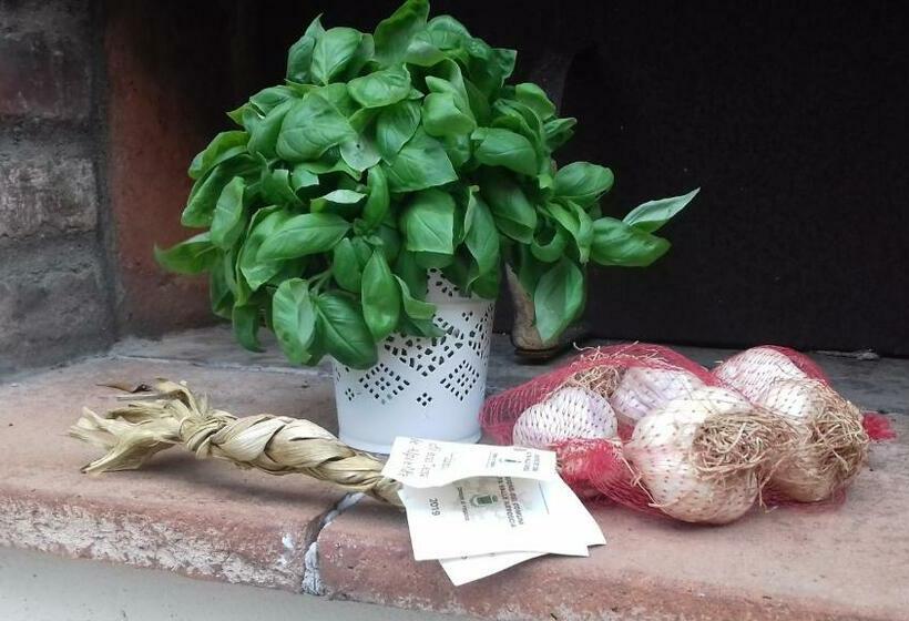 مبيت وإفطار The Italian Riviera