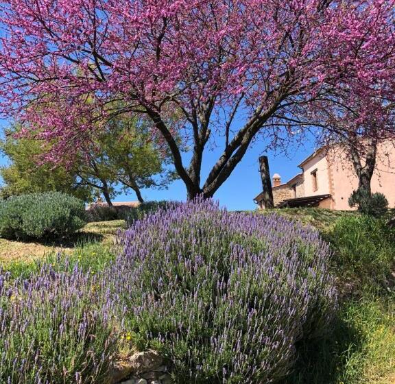 هتل Agriturismo Poggio Monte Saturnia
