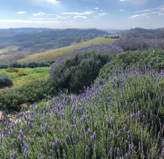 هتل Agriturismo Poggio Monte Saturnia