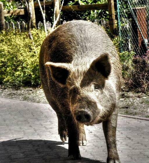 فندق Cascina Del Sole