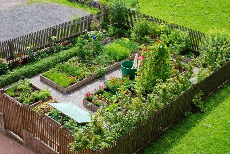 Отель Ferienhof Ammann