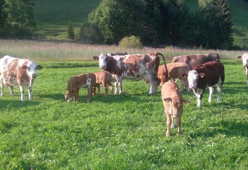 Отель Ferienhof Ammann