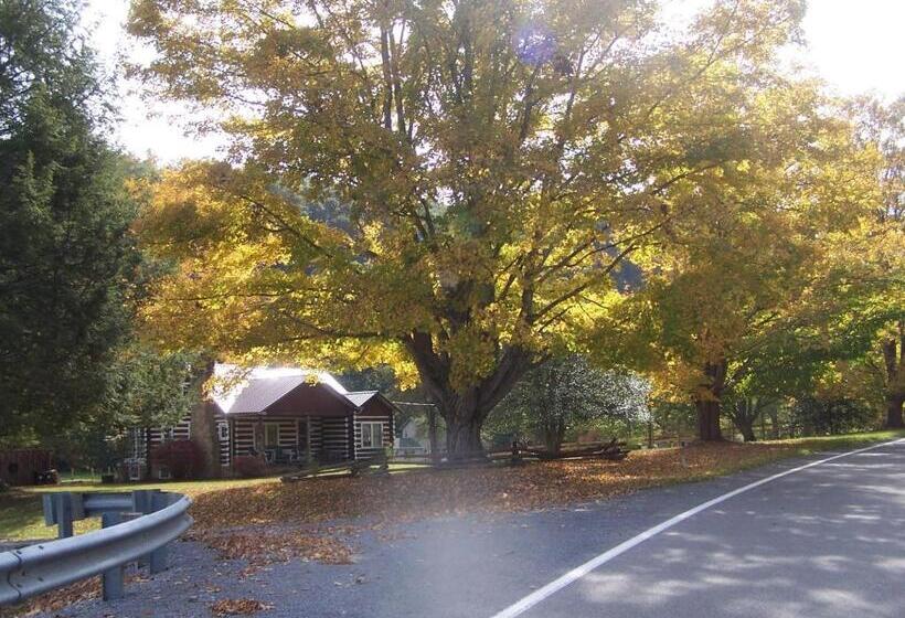 ホテル The Best! Gorgeous Cabin W Antiques For 2, Near Princeton  I 77