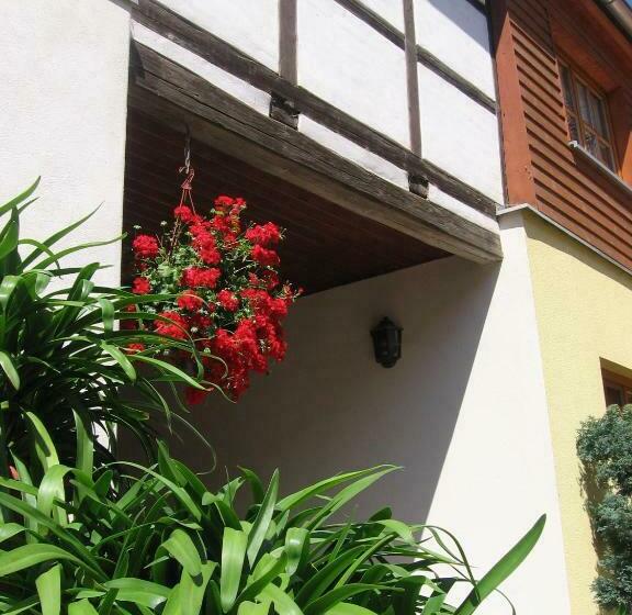 فندق Pension Kastanienhof