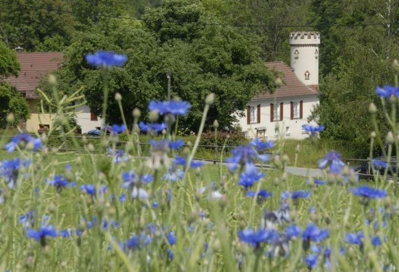 فندق Pension Kastanienhof