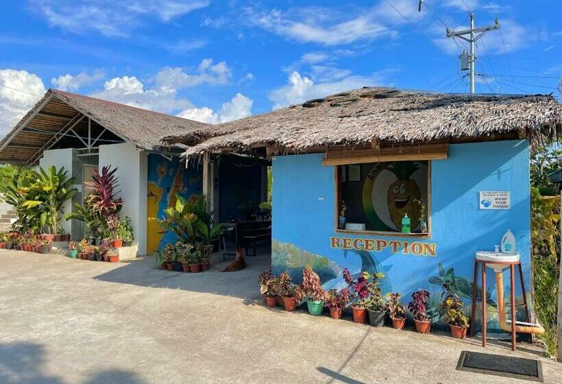 Пансион Ananas Guesthouse