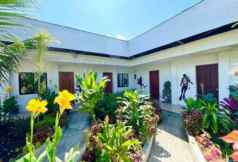 Пансион Ananas Guesthouse