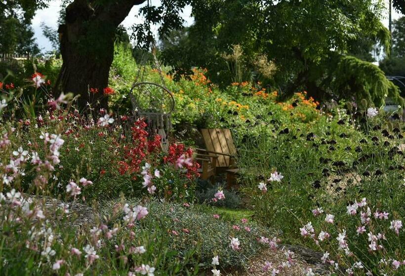 膳宿费 Un Beau Regard Sur La Nature !