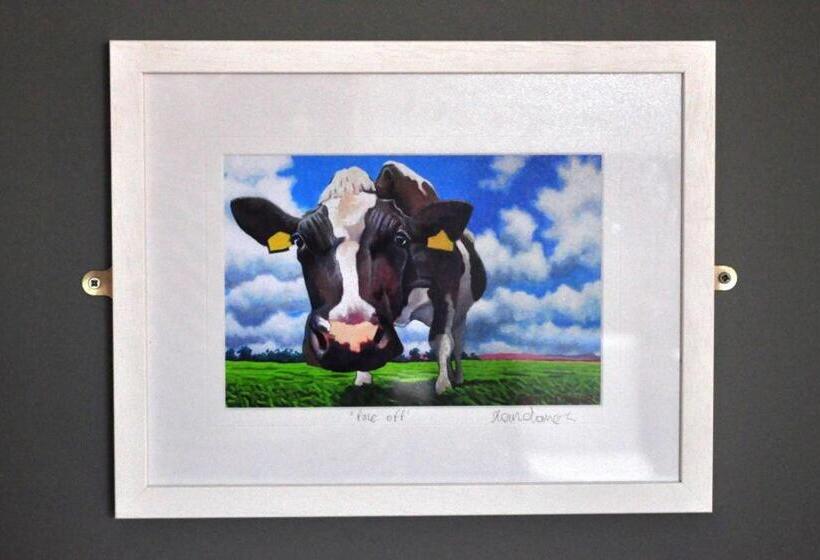 بنسيون Doolin Village Accomodation