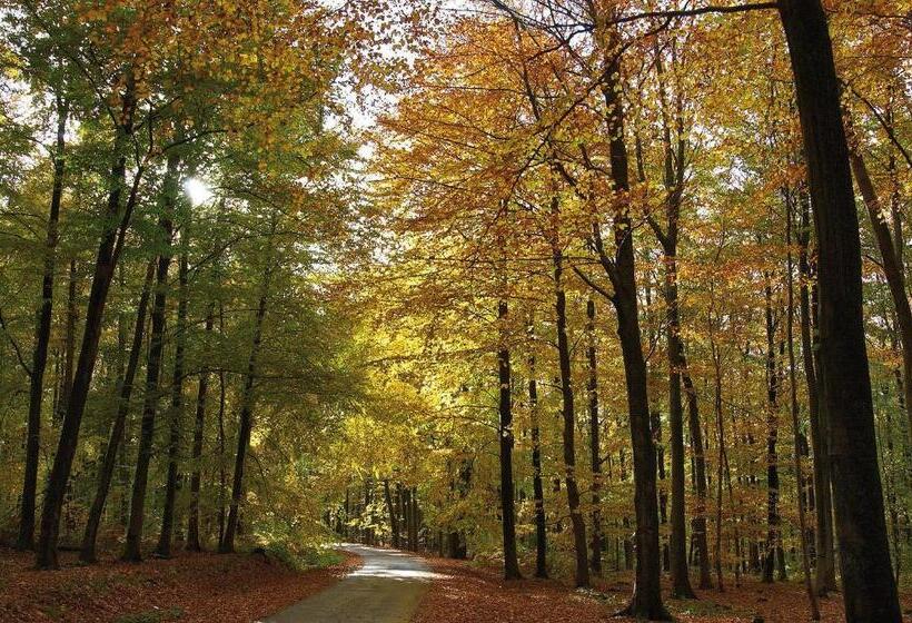 펜션 Penthouse Lebierre