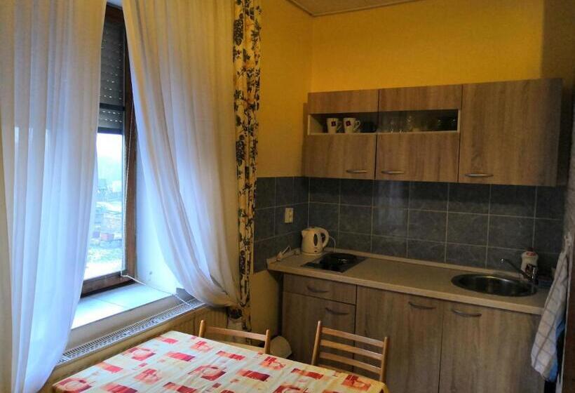 膳宿费 Penzion U Lípy