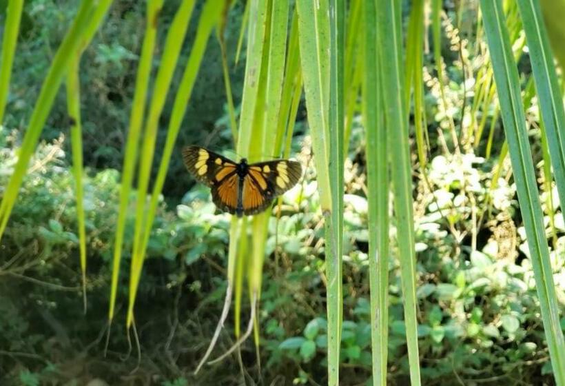 膳宿费 Recanto Luamar Pousada