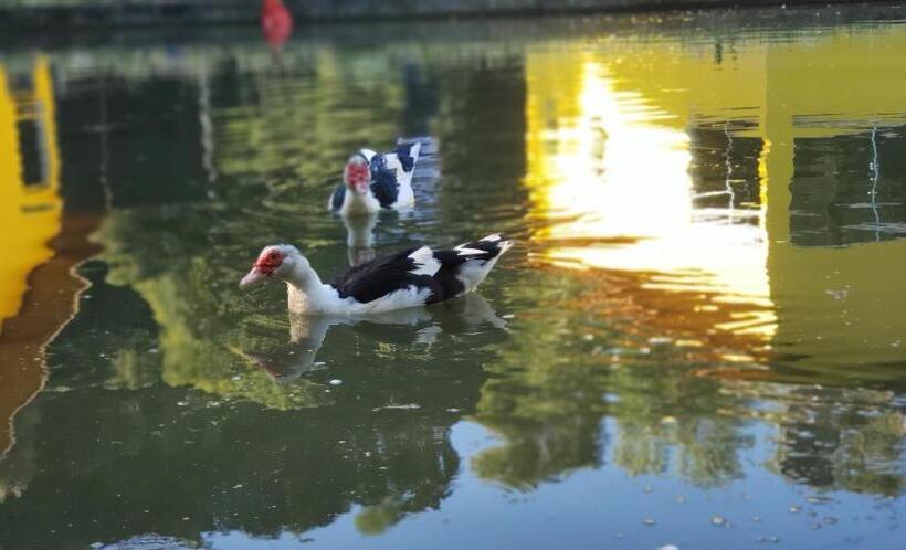 膳宿费 Recanto Luamar Pousada