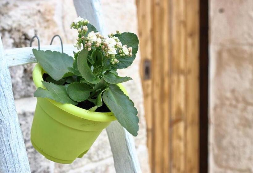 פנסיון Trullo Suite