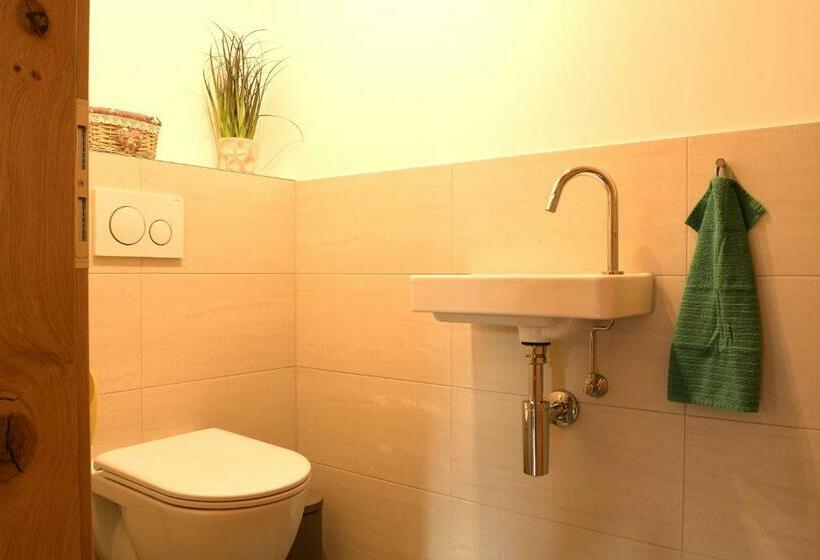 פנסיון Villa Alpin