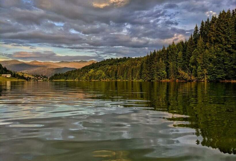 膳宿费 Aqualina Colibita   Pe Malul Lacului