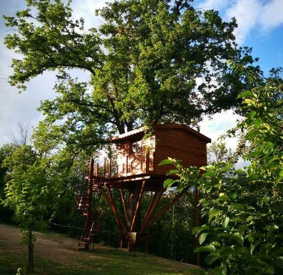 住宿加早餐  Casa Sull Albero Bocchineri