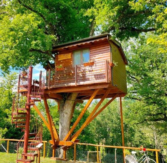 住宿加早餐  Casa Sull Albero Bocchineri