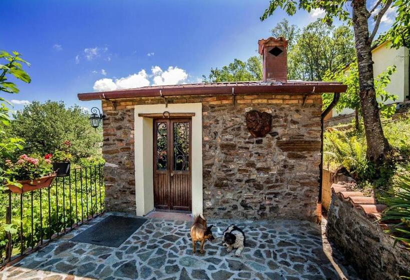 住宿加早餐  Casa Sull Albero Bocchineri