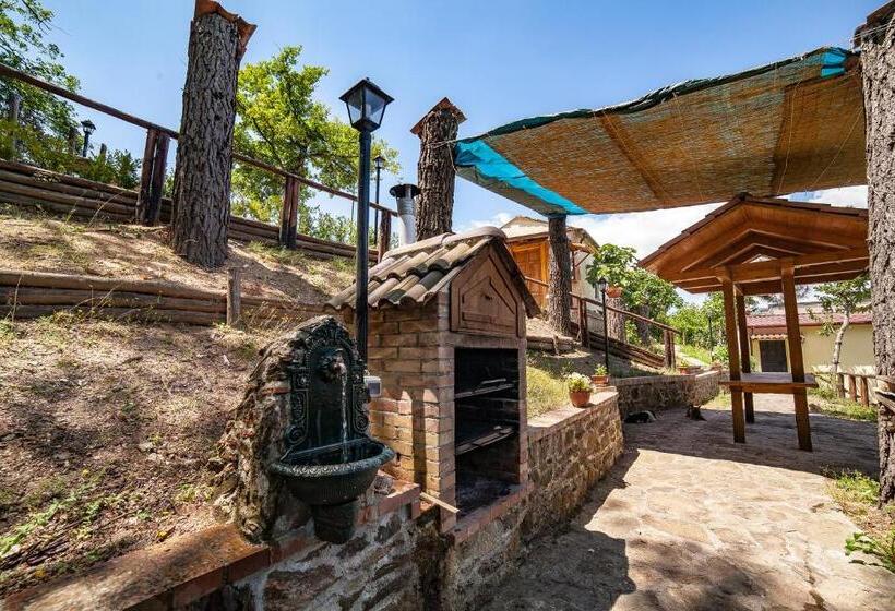 住宿加早餐  Casa Sull Albero Bocchineri