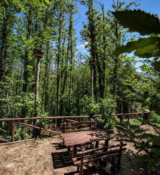 住宿加早餐  Casa Sull Albero Bocchineri