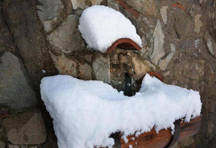 住宿加早餐  Casa Sull Albero Bocchineri