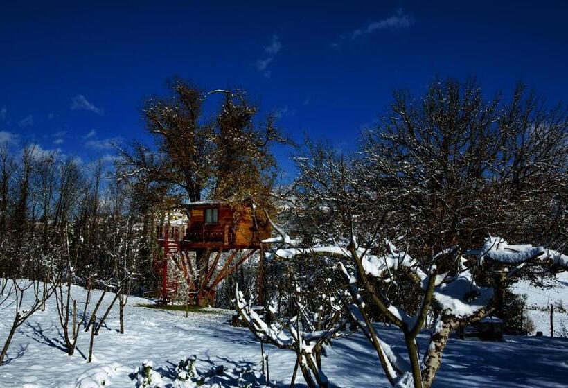 住宿加早餐  Casa Sull Albero Bocchineri